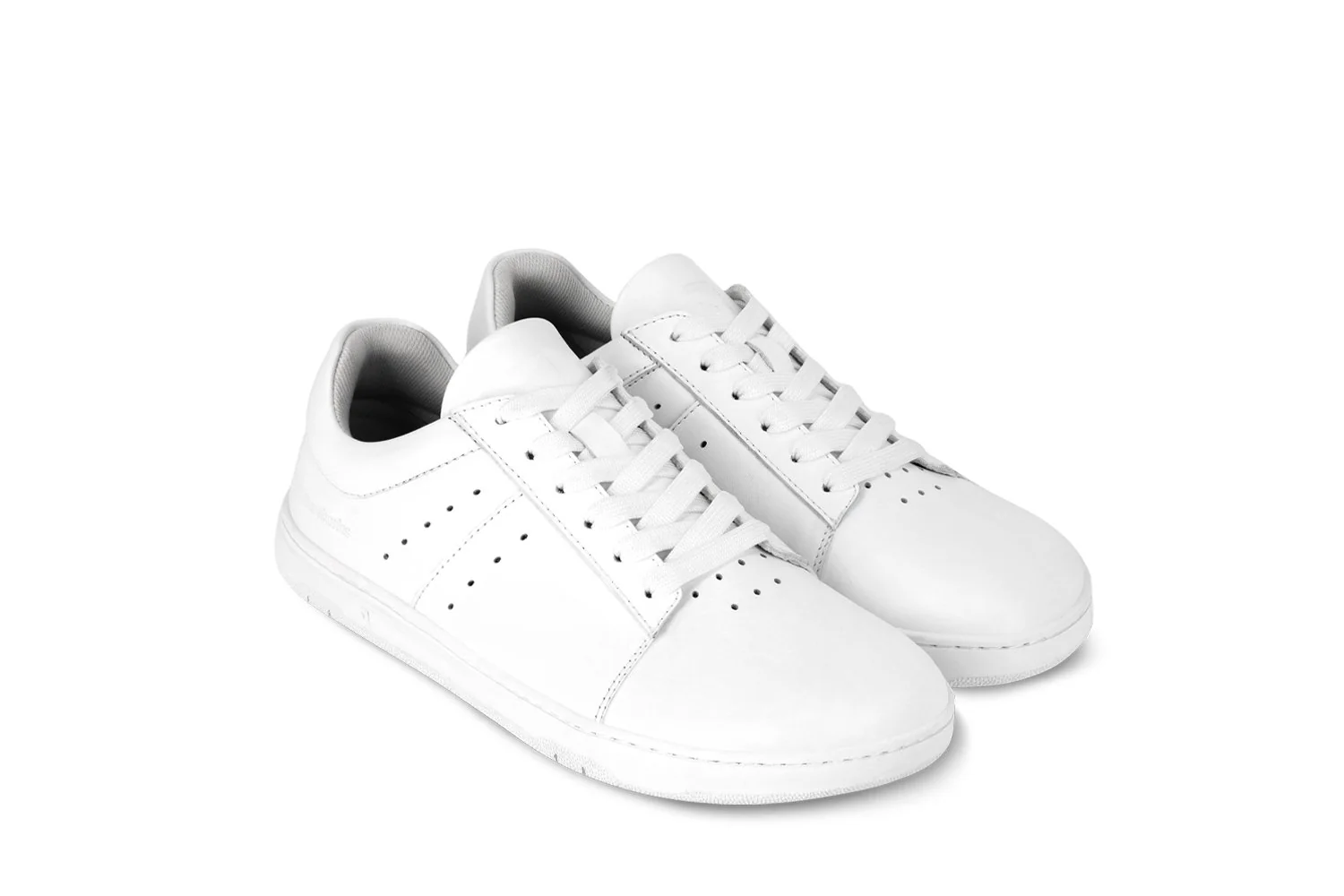 Barebarics Enigma CLEARANCE - Image 10
