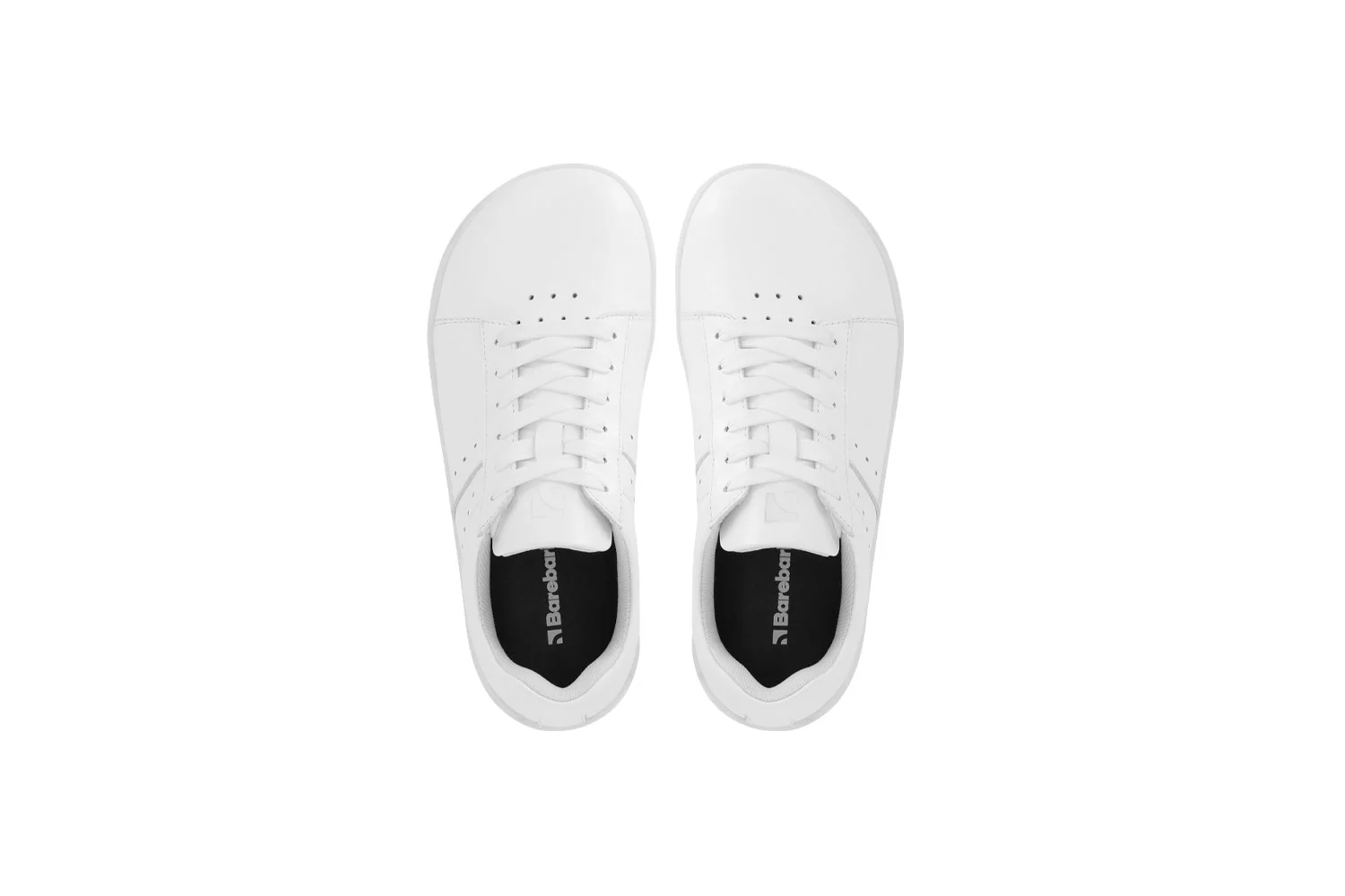 Barebarics Enigma CLEARANCE - Image 12