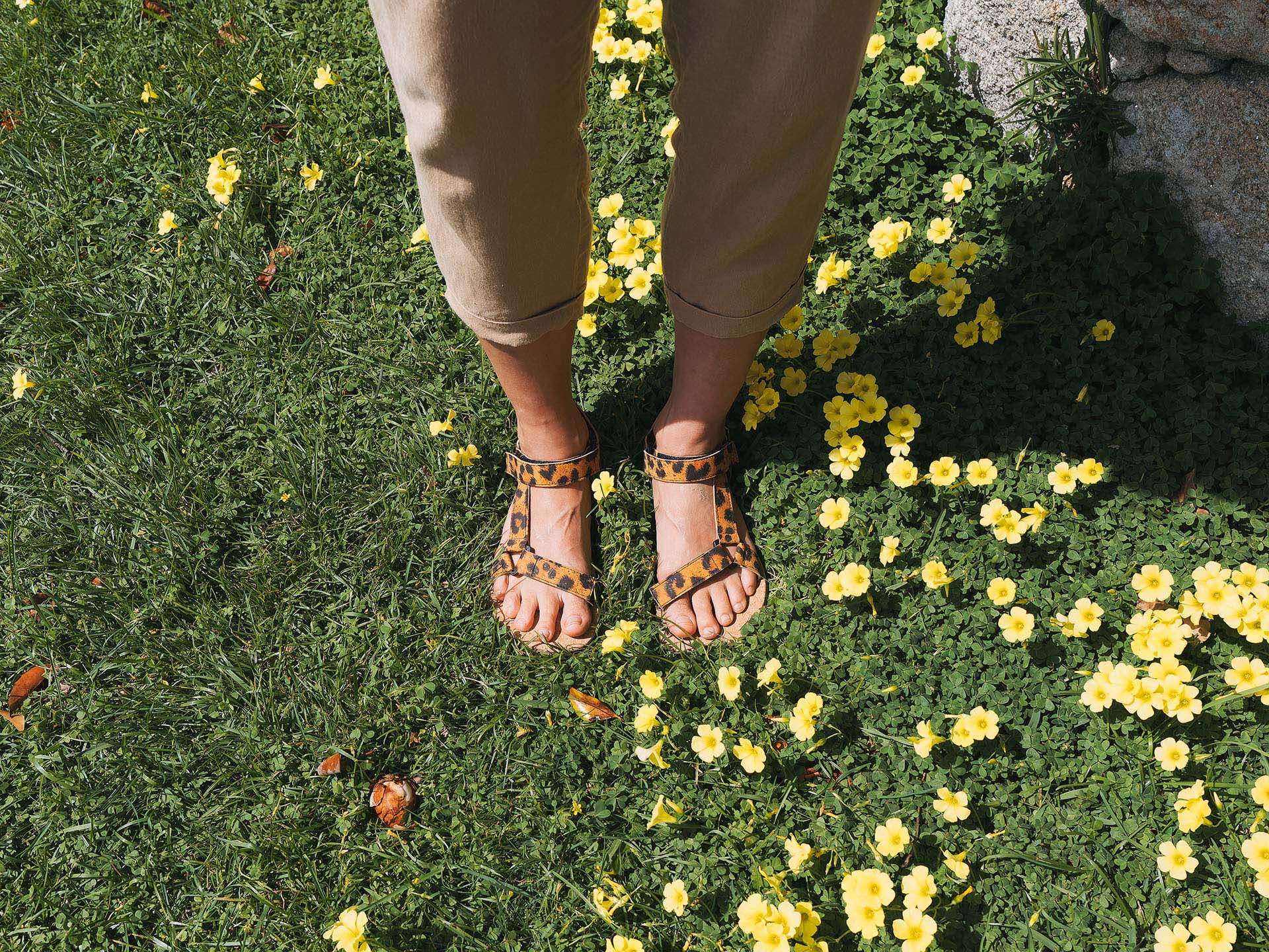 Mukishoes Solstice Leo - Image 8