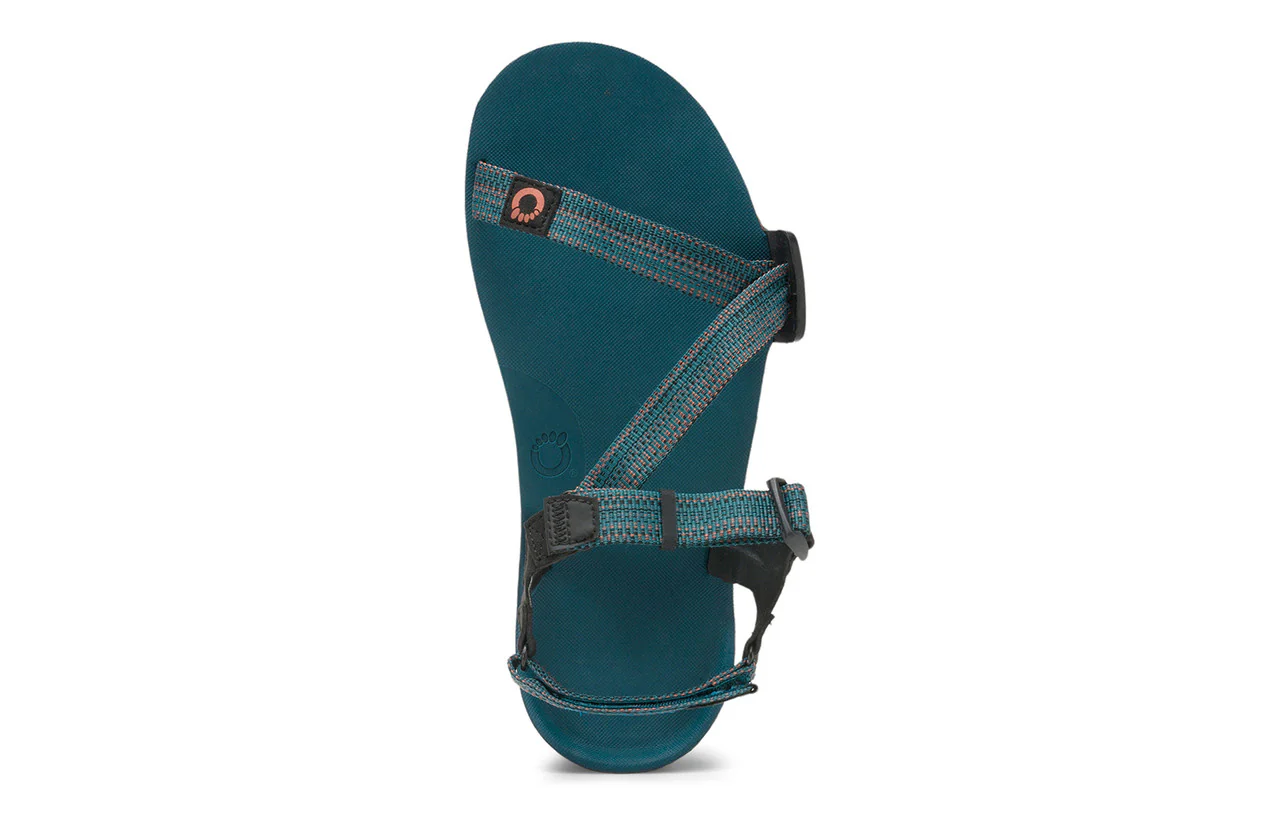 Xero Z‑Trail EV - Barefoot Hiking Sandal - Men's - Image 40